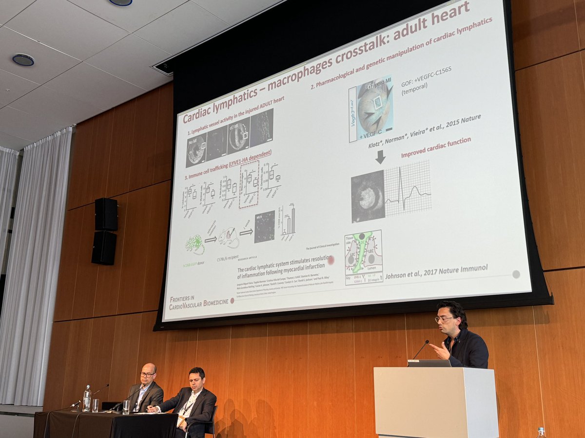 Alessandra Lodrini (@alelodrini) on Twitter photo Dr. Joaquim Miguel Vieira just gave an excellent talk on the role of macrophages in cardiac lymphangiogenesis.
❗️the macrophages-lymphatics crosstalk is important to resolve inflammation and promote regeneration after myocardial injury.
#FCVB2024 #ESCbasicscience <a href="/escardio/">European Society of Cardiology</a> Dr. Joaquim Miguel Vieira just gave an excellent talk on the role of macrophages in cardiac lymphangiogenesis.
❗️the macrophages-lymphatics crosstalk is important to resolve inflammation and promote regeneration after myocardial injury.
#FCVB2024 #ESCbasicscience <a href="/escardio/">European Society of Cardiology</a>