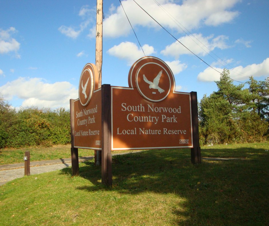 South Norwood Country Park spans over 116 acres and is a hidden gem in South London! It offers a peaceful escape and opportunities for recreation, nature exploration, and wildlife appreciation! 🏞️ 

#southnorwood #southnorwoodcountrypark #southnorwoodpark #southnorwoodlakes