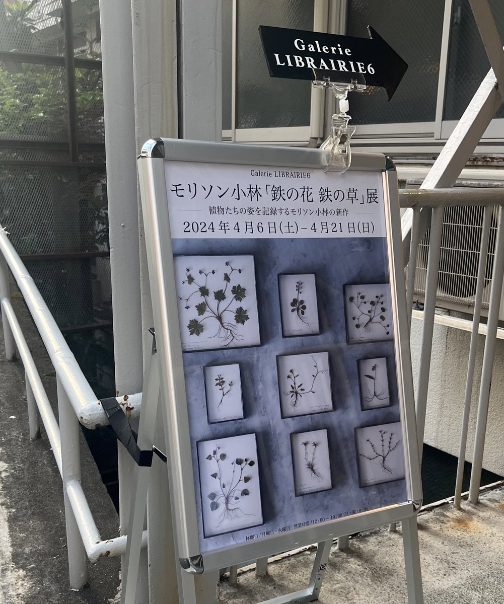 モリソン小林さんの個展「鉄の花 鉄の草」展を拝見しに、LIBRAIRIE6