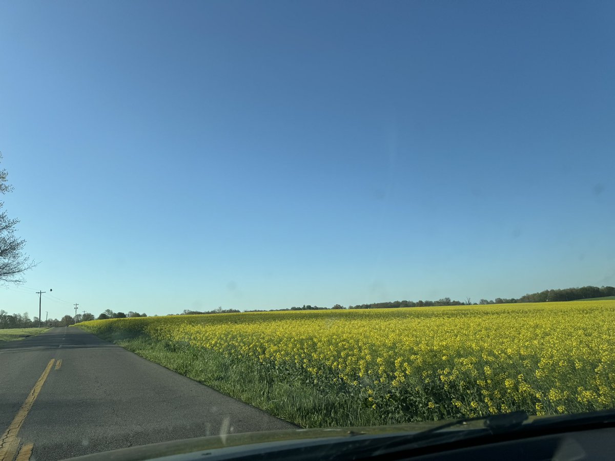 Beautiful Kentucky morning, listening to Old Neptune, He’s Roaring by <a href="/Brian_Sauve/">Brian Sauvé</a>. Win of a morning.