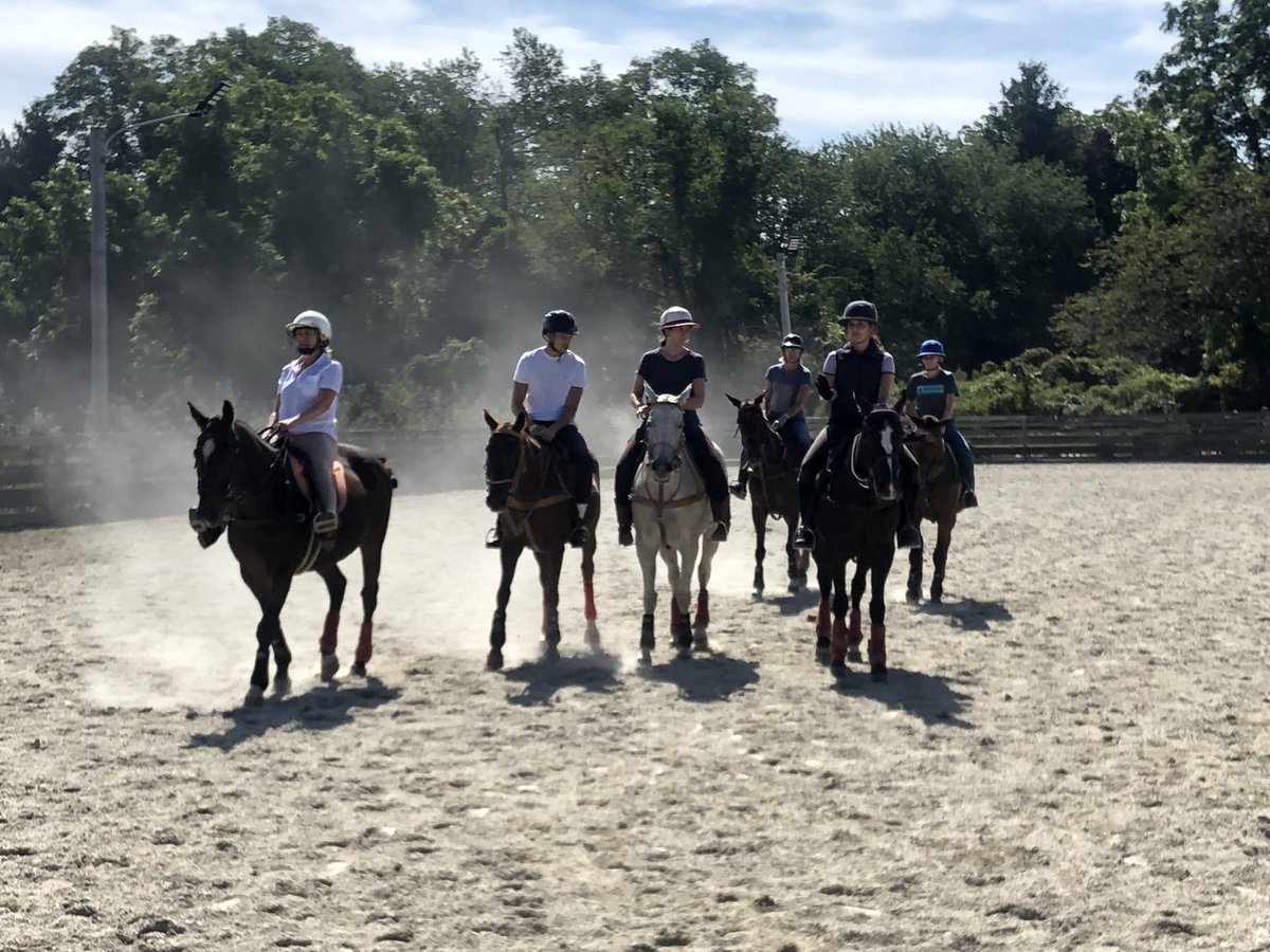 NewportPolo's tweet photo. Lessons are underway at Newport Polo! What are you waiting for? Sign up today - no riding experience needed!
#newportri #theclassiccoast #polo #horses #polohorses #pololessons https://t.co/pi0DqKbbwa