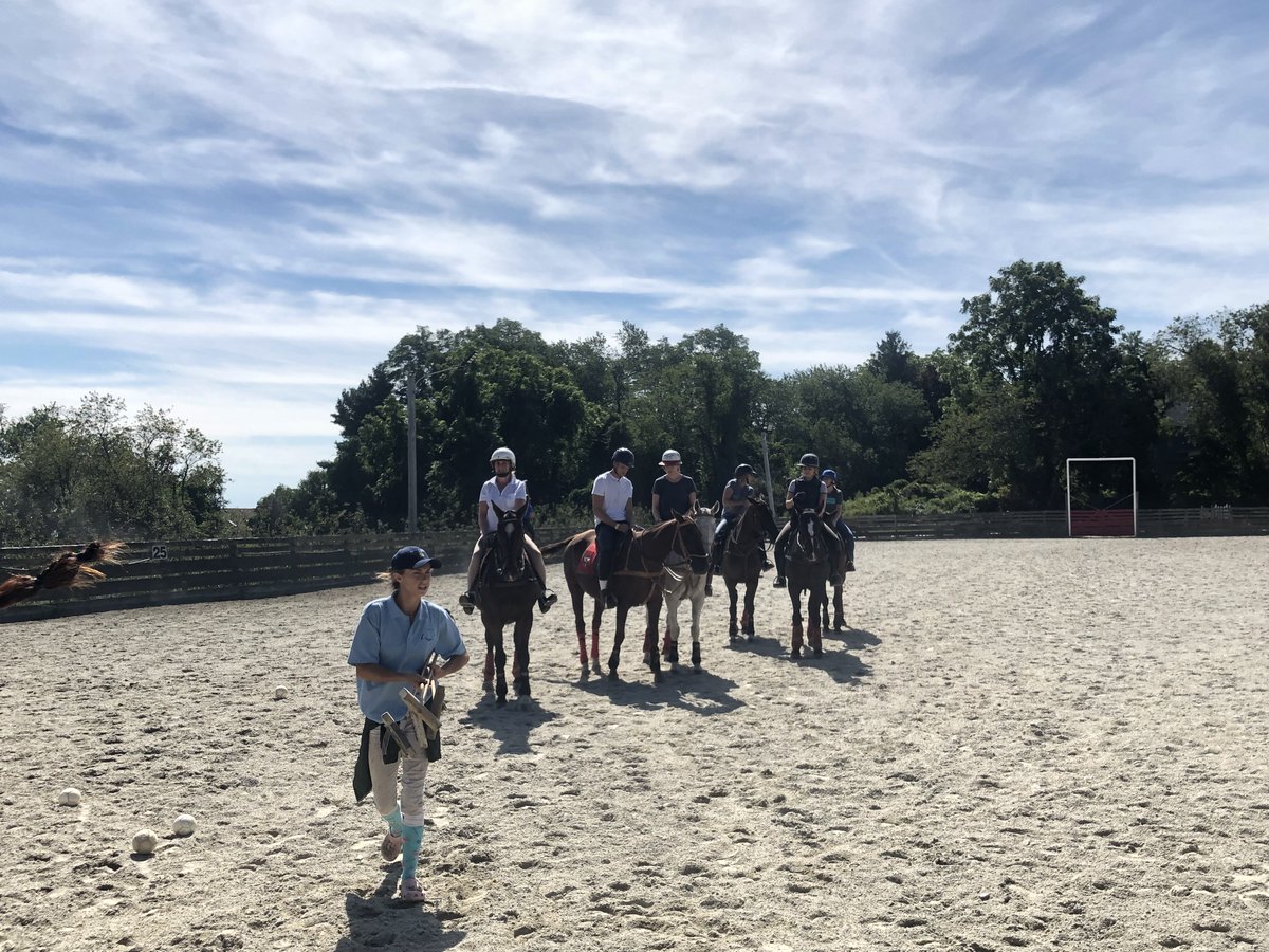 Lessons are underway at Newport Polo! What are you waiting for? Sign up today - no riding experience needed! 
#newportri #theclassiccoast #polo #horses #polohorses #pololessons