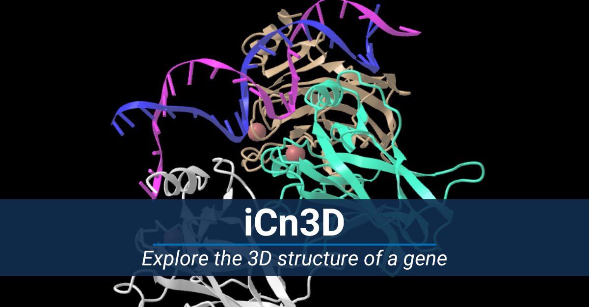 Are you a biology student working on a research project? Check out this example highlighting some valuable tools, like iCn3D, which helps you explore the 3D structure of a gene: ow.ly/Wsfk50QpHo7