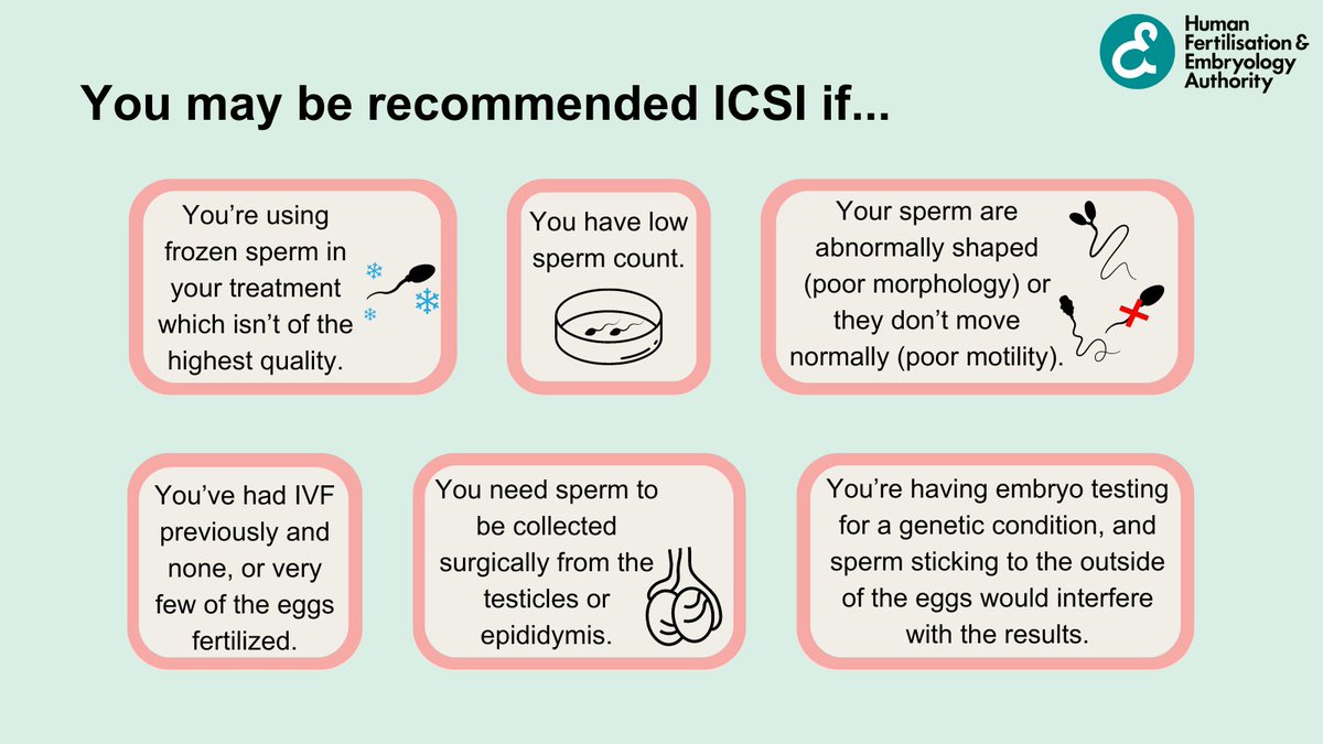 Intracytoplasmic sperm injection (ICSI) is the most common and successful treatment for male infertility and is often used in conjunction with IVF, you may be recommended ICSI if... For more information, visit our website bit.ly/HFEA-ICSI #FertilityTreatment #Fertility