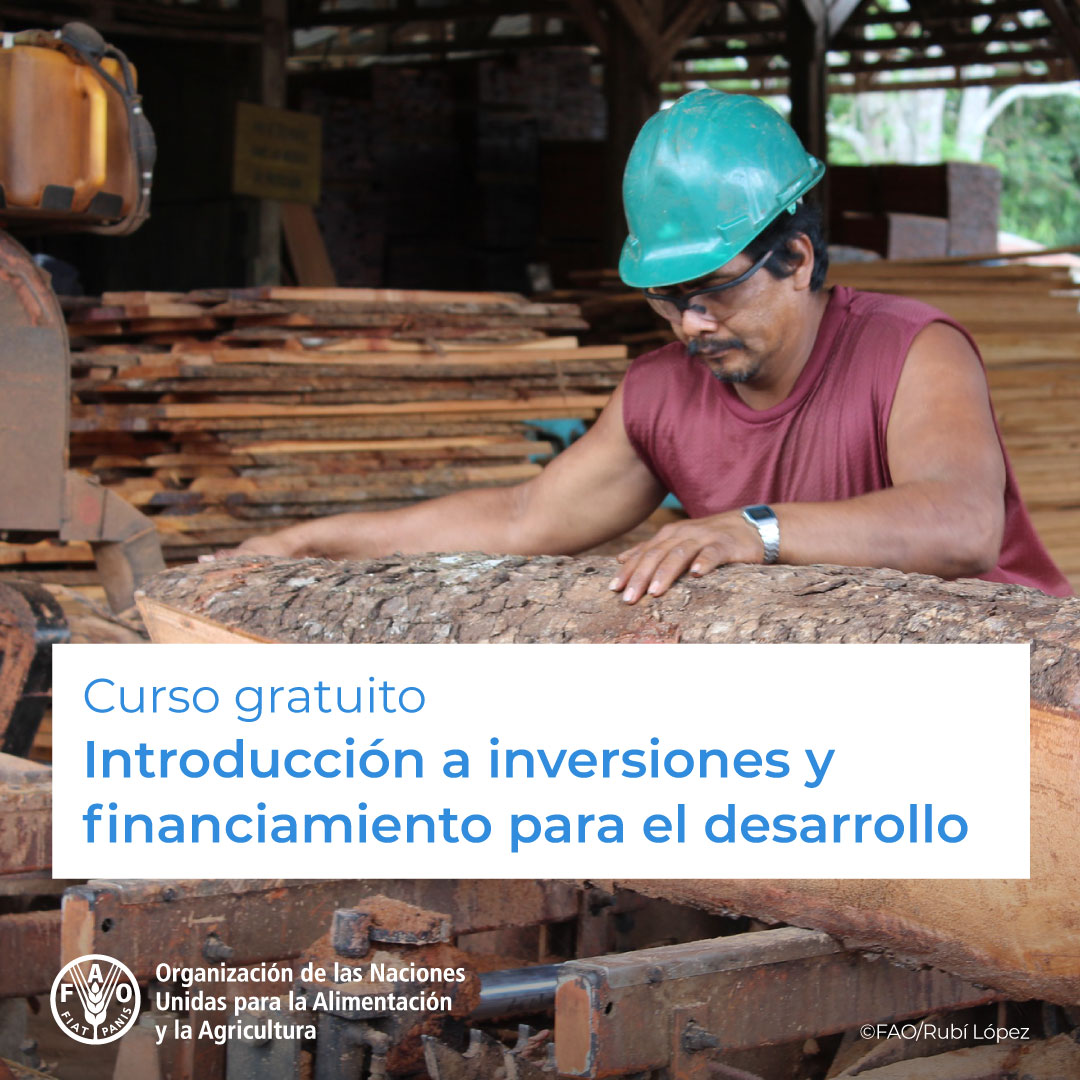 🎓¡Curso GRATUITO de @FAOCampus! 📈💰Introducción a #Inversiones y #Financiamiento para el #Desarrollo ¡Inscríbete ahora! ➡️ bit.ly/3AuUnQx