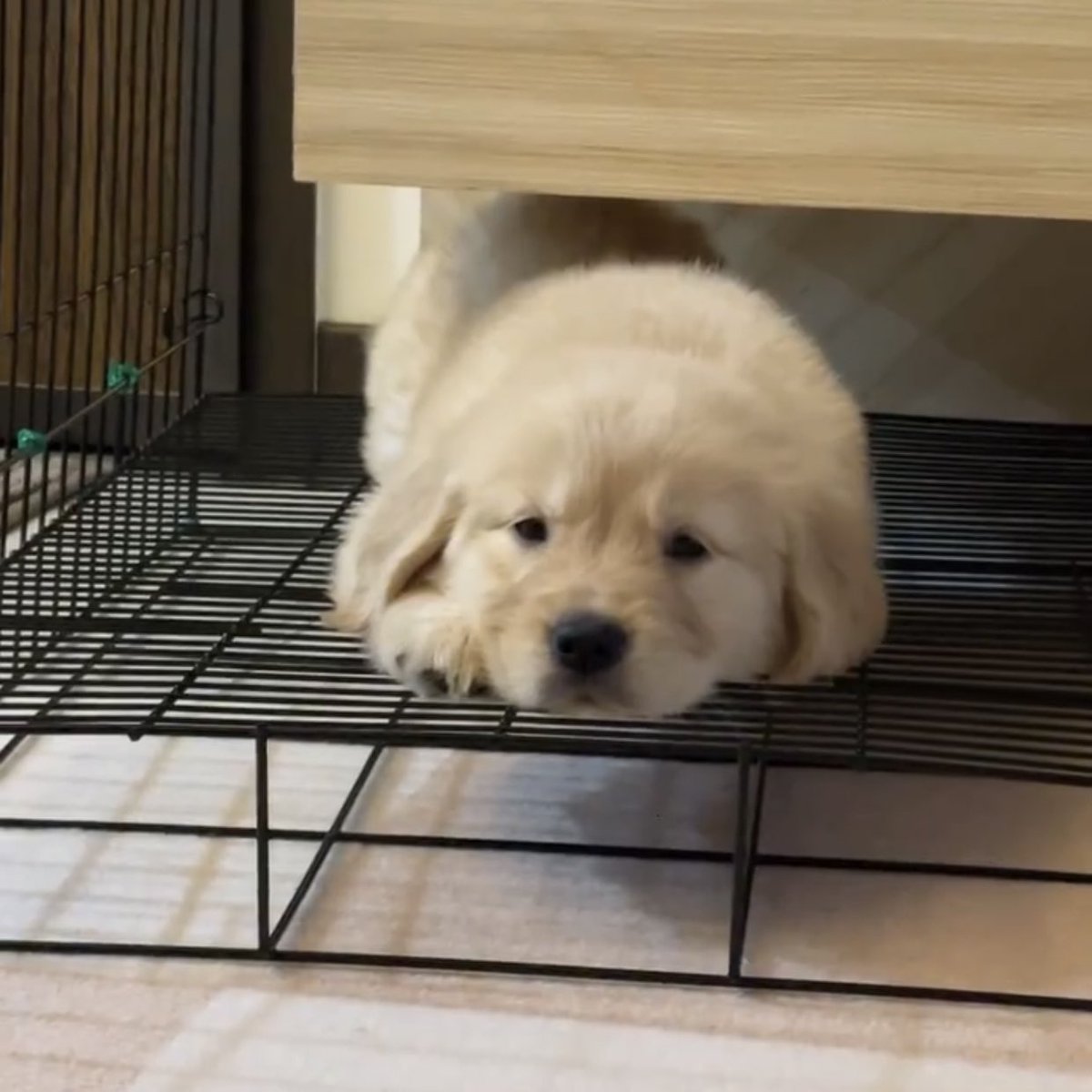 takemybear's tweet photo. ก่ไปสิ ไปเลย ไปเล่นน้ำกับหนุ่มๆพวกนั้น เด่วรอ ตงนี้ ตุวเดว เหงาๆ https://t.co/dufjXFDsyk