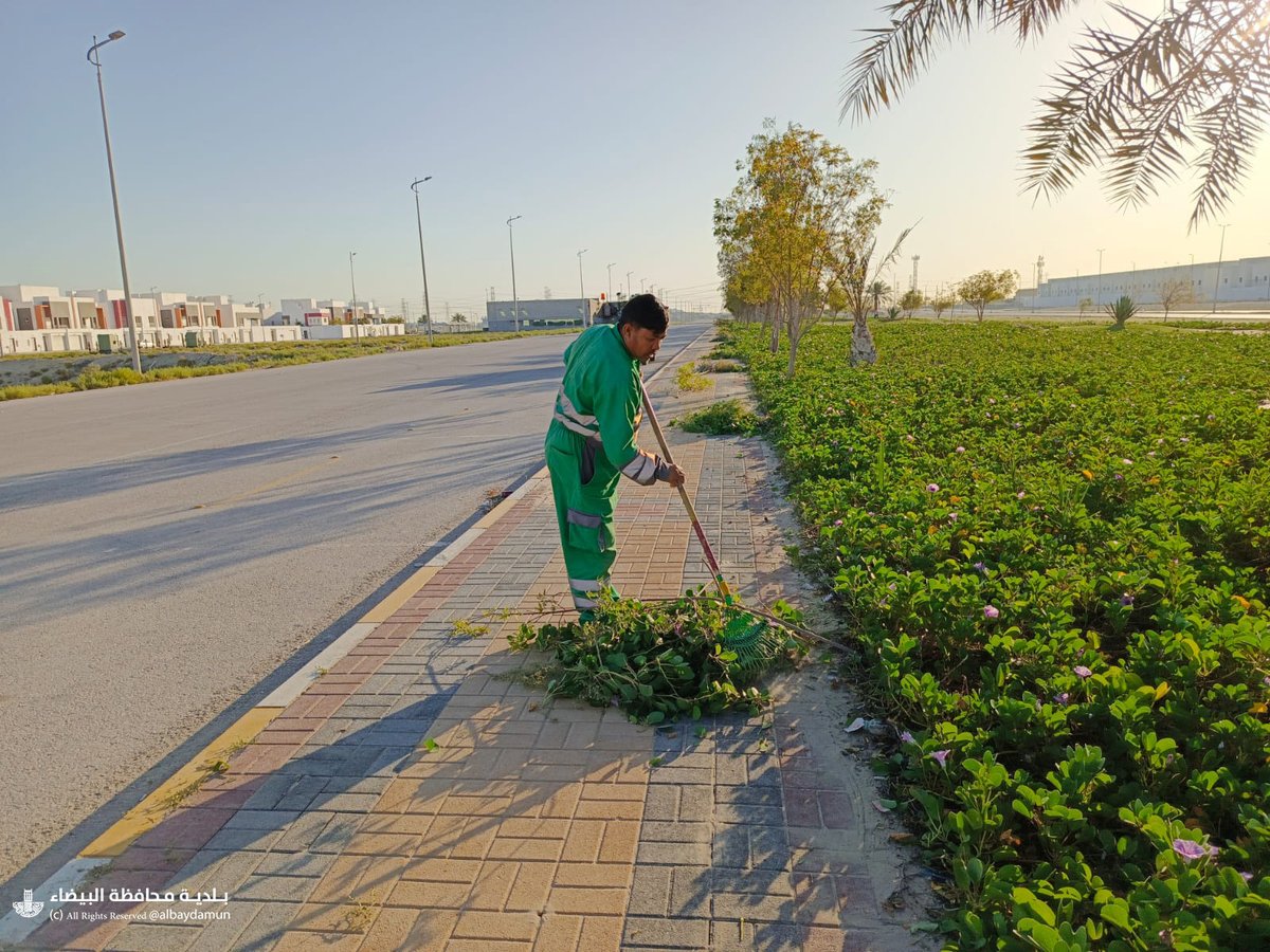 albaydamun's tweet photo. #بلدية_محافظة_البيضاء تواصل اعمال الصيانة في التحسين والتجميل بالمسطحات الخضراء وتنفيذ بعض الإضافات الزراعية من الأشجار والشجيرات. https://t.co/3Aduxc0Ld3