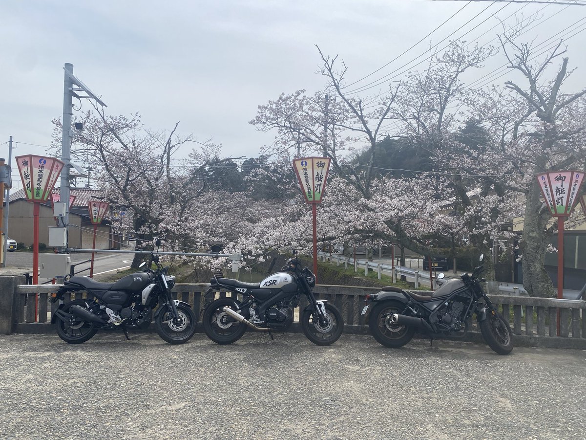 YAsunORI521203's tweet photo. これ先週の満開の桜。
今は桜吹雪🌸
散る桜も素敵やん。
#xsr155
#レブル250
#FZX https://t.co/xCMH1jfG6y
