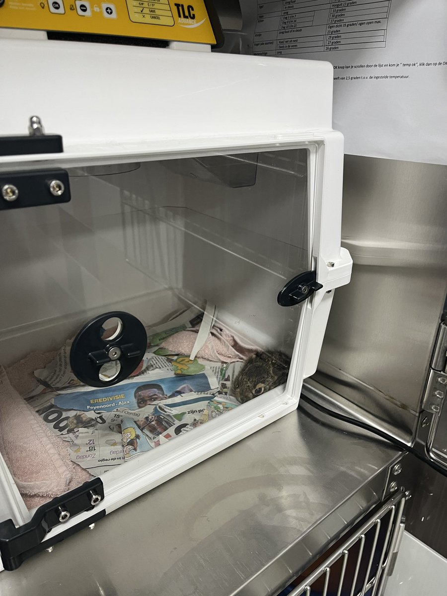RickvdZweth's tweet photo. Naast o.a. wonen ben ik ook woordvoerder dierenwelzijn. Dus gisteren eens meegegaan met de dierenambulance!

Zo’n beetje alles wel gezien: een haasje, egel, katten, vogeltje en zelfs een jong hertje. Mooi werk en bijzonder om eens mee te mogen. https://t.co/jAsOZzBQtB