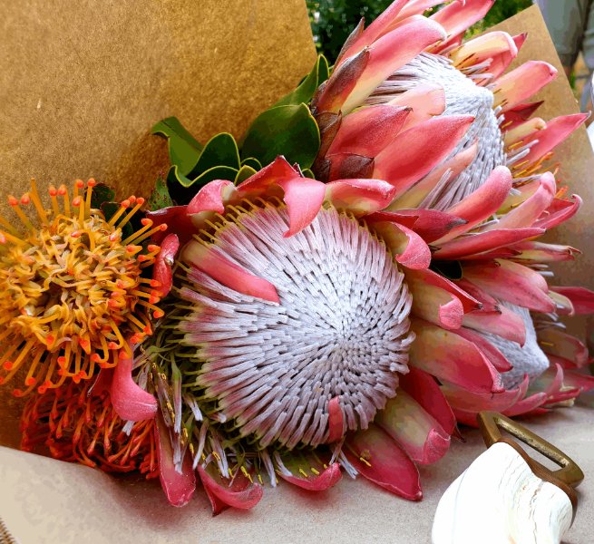 JoziStyle tweet media