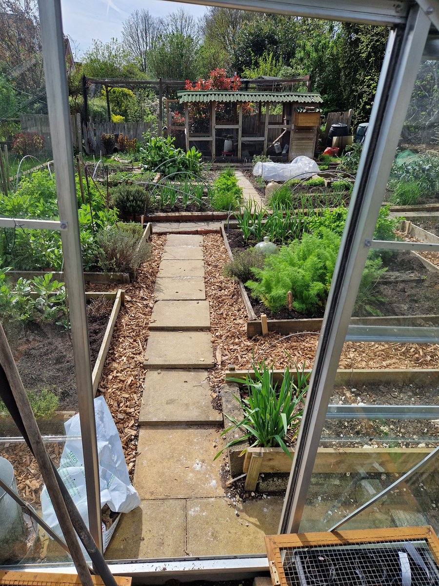 Lovely view from the greenhouse this morning!