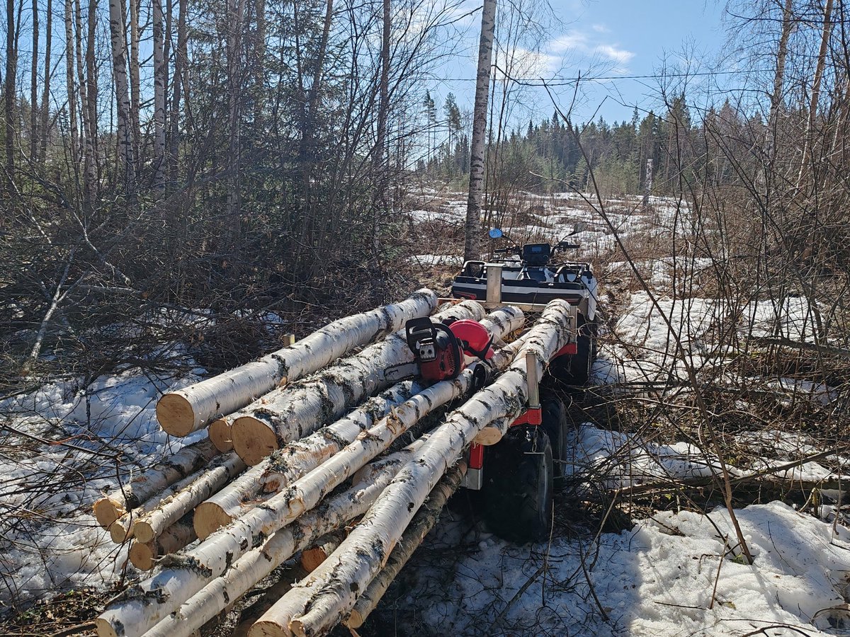 Aamujumppaa pollen kanssa 😅