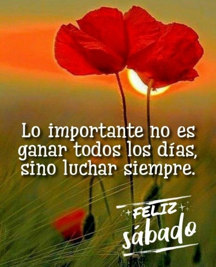 Si en el trayecto del camino resbalas o caes... No te preocupes... Sacúdete y sigue tu camino. Ahora ya sabes por donde no volver a pisar...... Buenos días 🌞🙏🌹♥️ Excelente fin de semana 🌹❤️