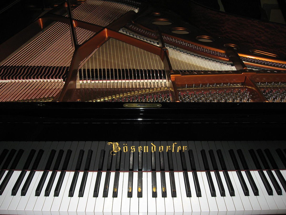 I'm so gonna buy one of these Bösendorfer grand pianos one day.