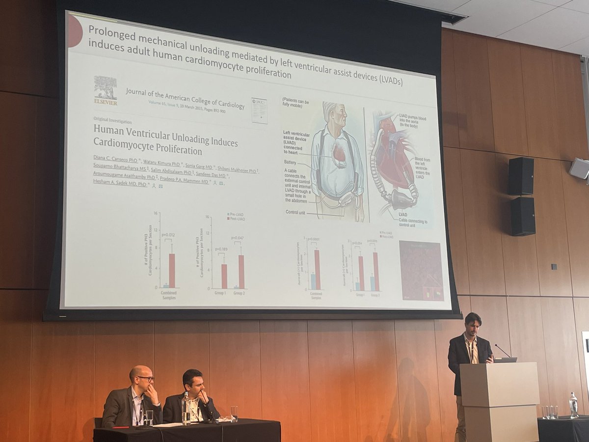 Jan Willem Buikema (@jan_w_buikema) on Twitter photo Mechanical load regulates the proliferation of multiple cell types in the heart by Giulio Ciucci (International Centre for Genetic Engineering and Biotechnology (ICGEB) - Trieste, Italy)
#FCVB2024 #ESCBasicScience
<a href="/MonikaGladka/">Monika Gladka</a> <a href="/C_Balbi90/">Carolina Balbi</a> <a href="/CarolRemme/">Carol Ann Remme</a> <a href="/Neele_AE/">Annette Neele</a> <a href="/LindaVanLaake/">Linda</a> Mechanical load regulates the proliferation of multiple cell types in the heart by Giulio Ciucci (International Centre for Genetic Engineering and Biotechnology (ICGEB) - Trieste, Italy)
#FCVB2024 #ESCBasicScience
<a href="/MonikaGladka/">Monika Gladka</a> <a href="/C_Balbi90/">Carolina Balbi</a> <a href="/CarolRemme/">Carol Ann Remme</a> <a href="/Neele_AE/">Annette Neele</a> <a href="/LindaVanLaake/">Linda</a>