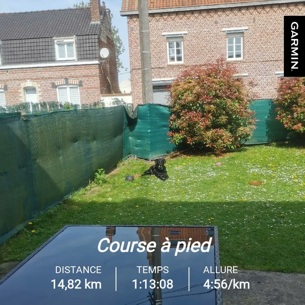 soanito's tweet photo. Pendant que certains se dore la pillule 💊 au soleil ☀。
#1coursepourlavie
#running #runner #trailrunning #runnerworld #run #runningman #runnerlife #Strava #instarun #instarunners #runmotivation #siroko #beatyesterday #garmin #correr #corrida #Runart #ラン #ランニング https://t.co/6zv6ZlNdNv