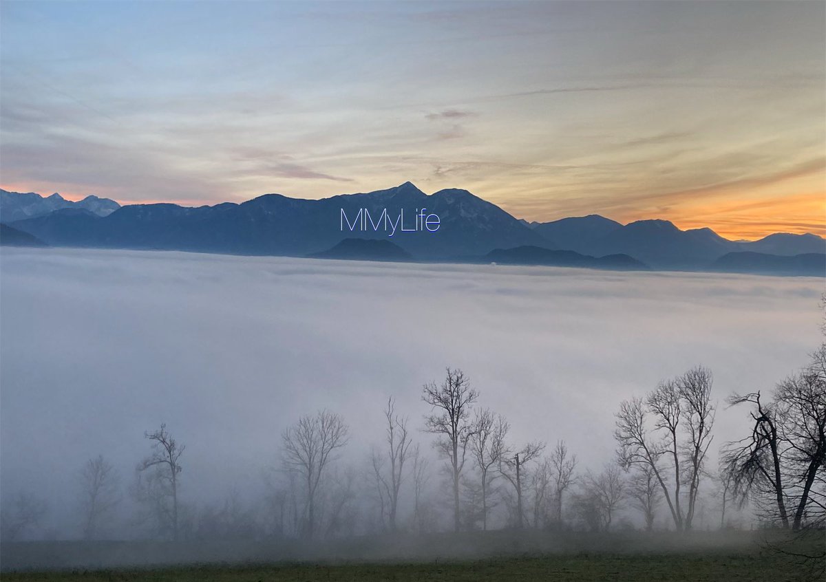ManuelaMravlak's tweet photo. Here is everything I adore…🤍
#NaturePhotography #Austria 🇦🇹
#MountainLover #Karawanken ⛰️
#FogIsMagic 🌫️ #MagicalMoments ✨
@StormHour @ThePhotoHour 🌄
#SaturdayFeeling #SaturdayThoughts 💙🧡 https://t.co/YcrwywnR9a