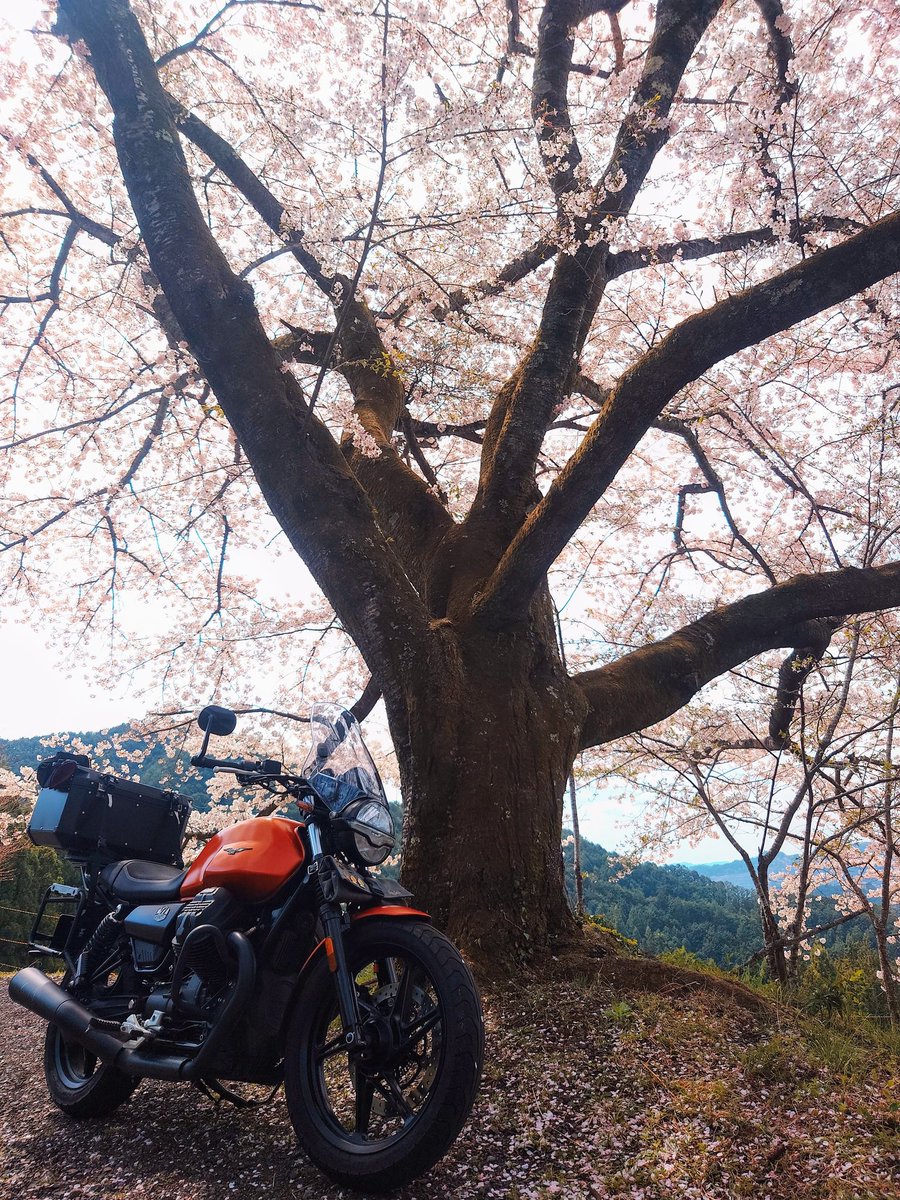 1年ぶり2度目、リベンジ成功！ギリギリ間に合いました(⁠^⁠^⁠)