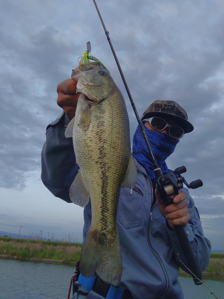 Stallion4829's tweet photo. 今日の夕活は2バイト40up2フィッシュ🐟巻けばまだまだ出そうけど明日の準備あるので✋
#筑後クリーク
#バスフィッシング
#Pazdesign
#ZPI
#TEAMZELOS
#アルカンセRGC
#evergreeninternational
#combatstick
#NOIKE
#タイニーカイシン
#SLTミノー
#NOIKEマーケティング https://t.co/wAPwt8MeOT