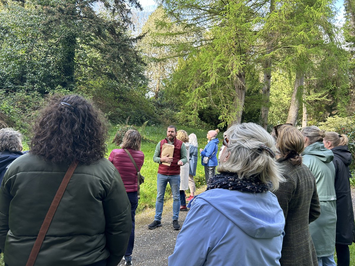 Tom Gunning telling us more about the amazing wood wide web at this morning’s walk on the most beautiful spring day in Powerscourt Gardens 🍃
