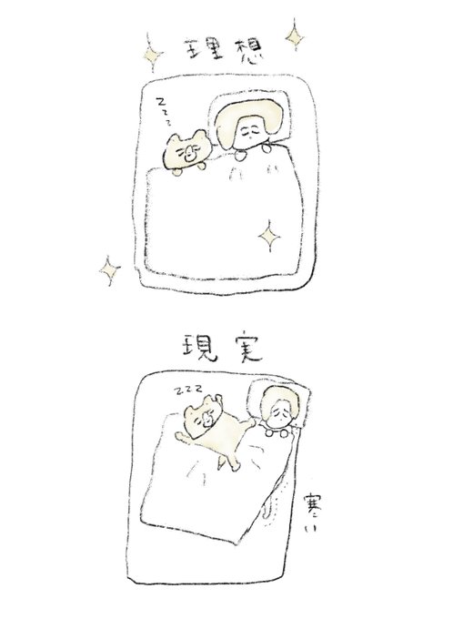 犬との暮らし 