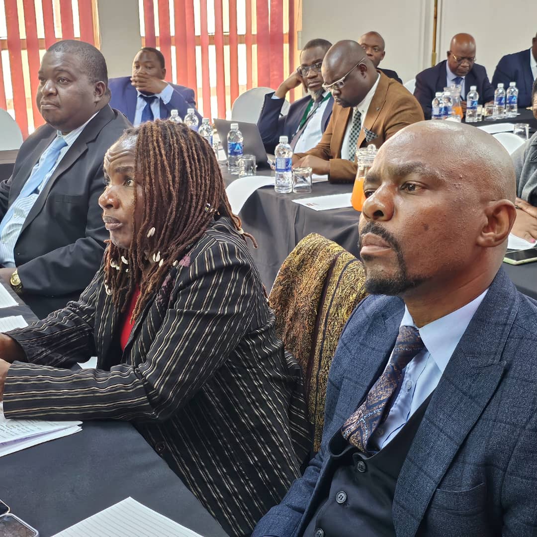 Accordingly, this Committee is being capacitated in order to dynamically exercise its oversight role on transport and infrastructural development broadly in the national and continental development ecosystem, if not globally since Zimbabwe is part of the international polity.