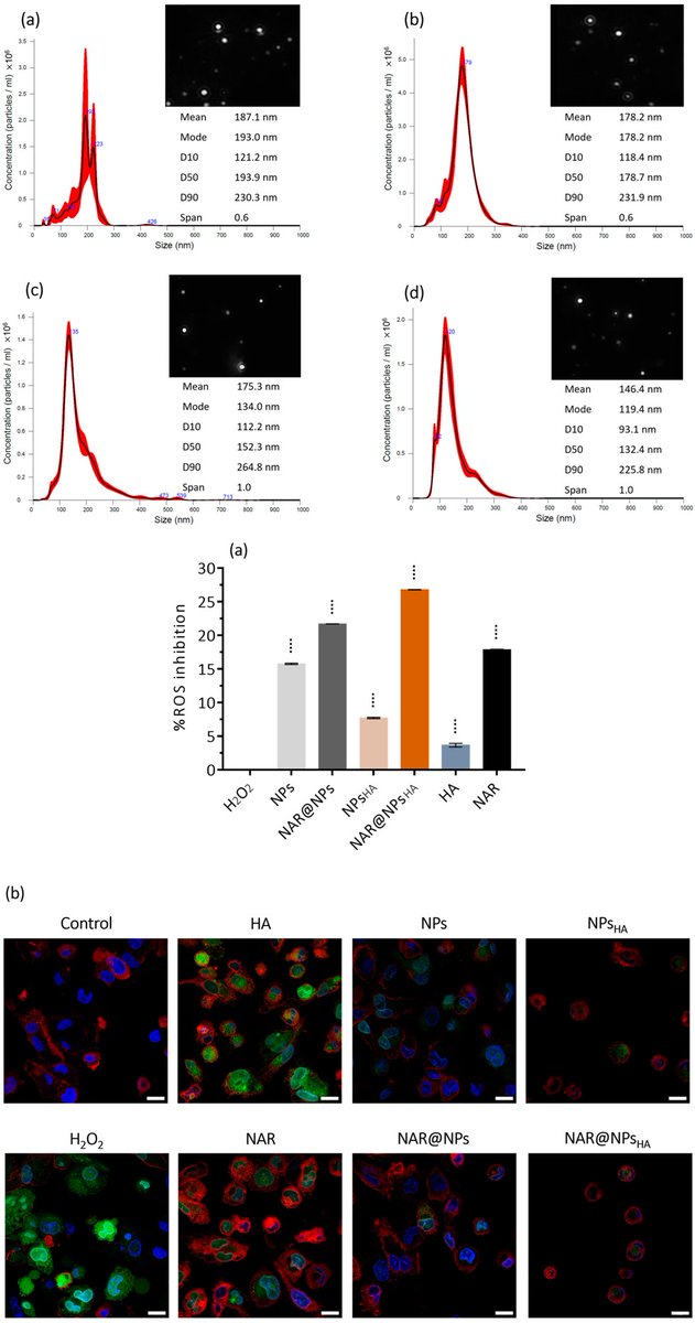 Cláudia Nunes et al @UPorto developed an approach using nanostructured lipid carriers to deliver naringenin with a specific focus on inflammation treatment. These LNPs could be targeted to specific sites, such as activated macrophages
mdpi.com/1422-0067/25/8…
#LNP #nanomedicine