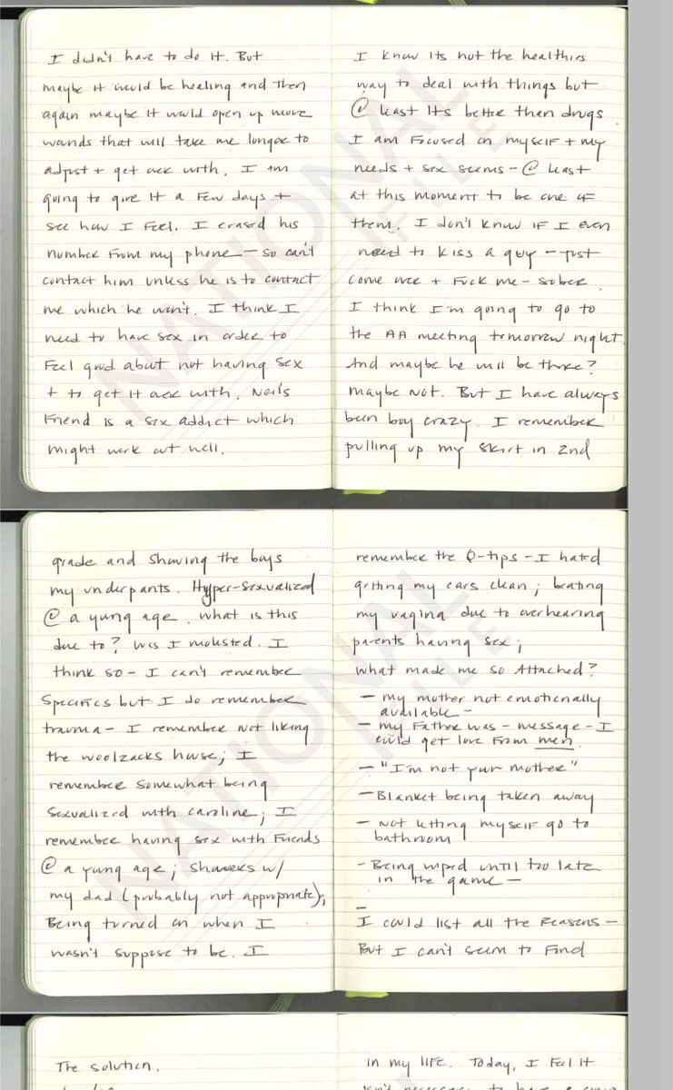 The TRUE story of how the Ashley Biden Diary was broken ##### The Ashley Biden Diary is a massive indictment of Joe Biden. And it is LEGIT. @HowleyReporter and I broke the whole thing at @NationalFile. James O'Keefe didn't break it. Project Veritas didn't break it. They…