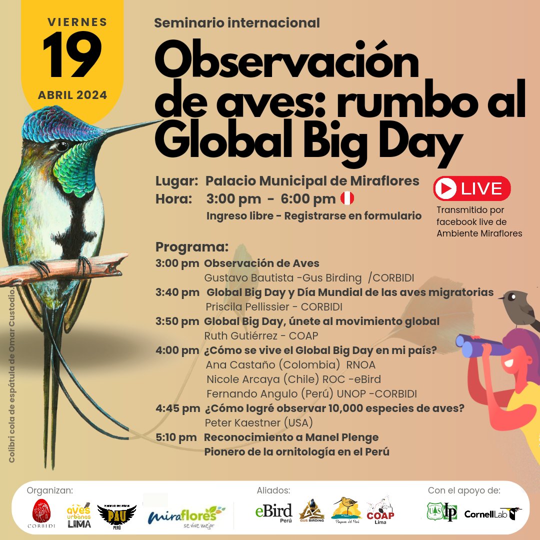 Aves Urbanas de Lima tweet media