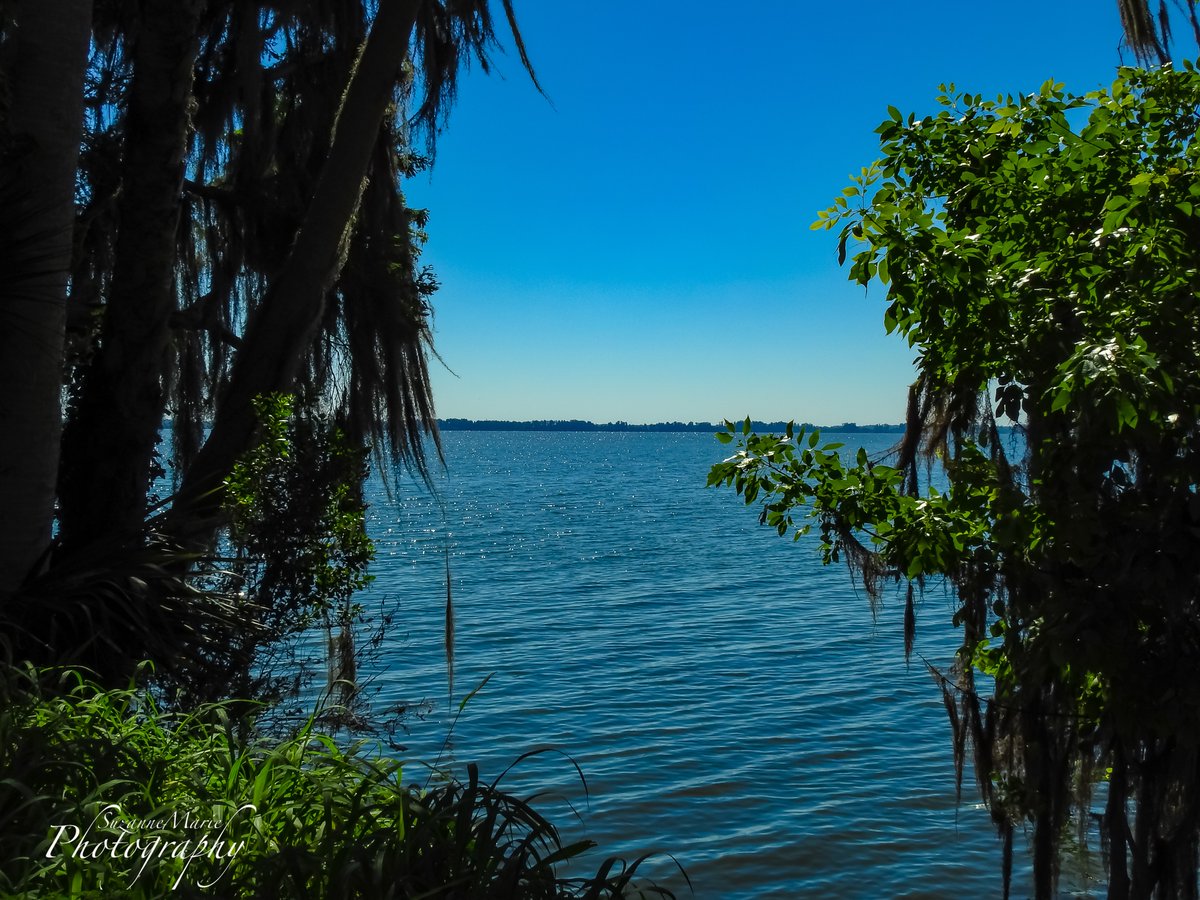 Lake Hancock

#landscapephotography #landscapeoftheday #landscapelover #landscapephoto #landscapecaptures #landscapephotographer #travelphotography #photography #plantcity #florida #tampa #naturephotographer #naturephotography #circlebbarreserve