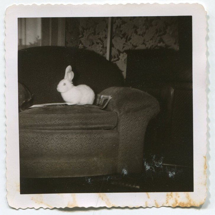 ‌‌ ౨ৎ (@didionplath) on Twitter photo 