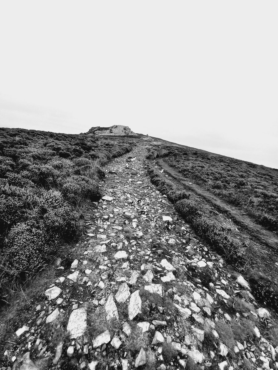 The Stiperstones is said to be home to six birds, who whistle a beautiful song in perfect unison. However, if a seventh bird joins their song, its a sure sign the end of times is near... 🪶 #Shropshire #Folklore #Stiperstones