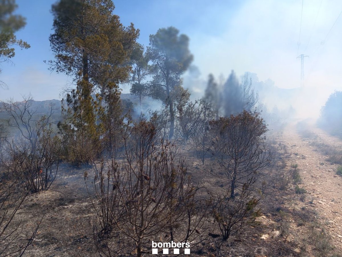 Treballem en un incendi de vegetació forestal a Rasquera (avís 11.23h @112). L'incendi ja està estabilitzat, ha cremat a mitja - alta intensitat i tenia capacitat de saltar la pista. Hi som amb #GRAF i #EPAF 5 dotacions 🚒 #bomberscat