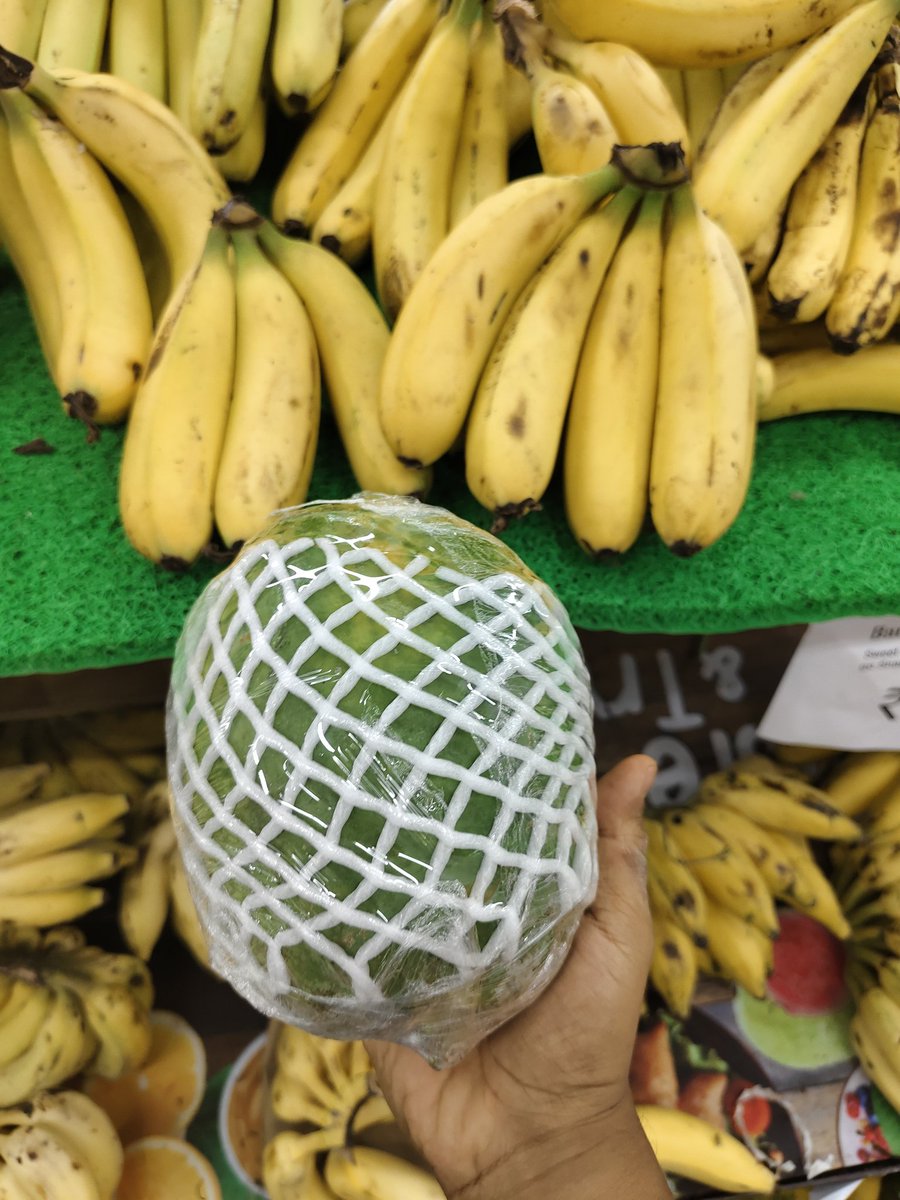 #BeatPlasticPollution When nature itself packaged it so well what is needed to wrap it with #plastics 
sustainme.in 

#sustainme #plasticpollution #plastic #plastics #Packaging #plasticspackaging #plasticpollutions #singleuseplastic #fruits #saynotoplastics #pollution