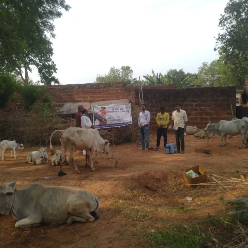Loving Sairam..
With the Blessings of Sri Sathya Sai Baba, Khordha Samithi was able to organize an animal health care camp under Sai Karuna at Village Nizigada Tapang on 12.04.2024.
#SaiKaruna 
#Animalcare 
#Khordha 
-Media Team