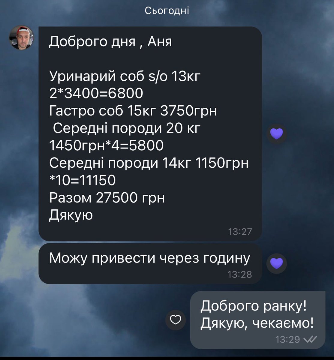 Домашній притулок «ZooBanda»-Запоріжжя🇺🇦 tweet media