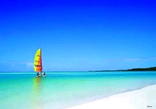 Cayo Santamaría en #Cuba
#CubaUnica
#JuntosPorVillaClara