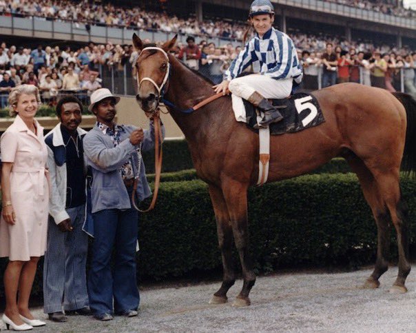 #OnThisDay in 1969, champion racehorse #RivaRidge was born at The Meadow, Doswell, VA. He’s best known as stablemate of #Secretariat & won the ‘72 KY Derby & Belmont Stakes. He’s ranked 37th among the top 100 racehorses of the 20th century. #HorseRacing 📸:Secretariat.com
