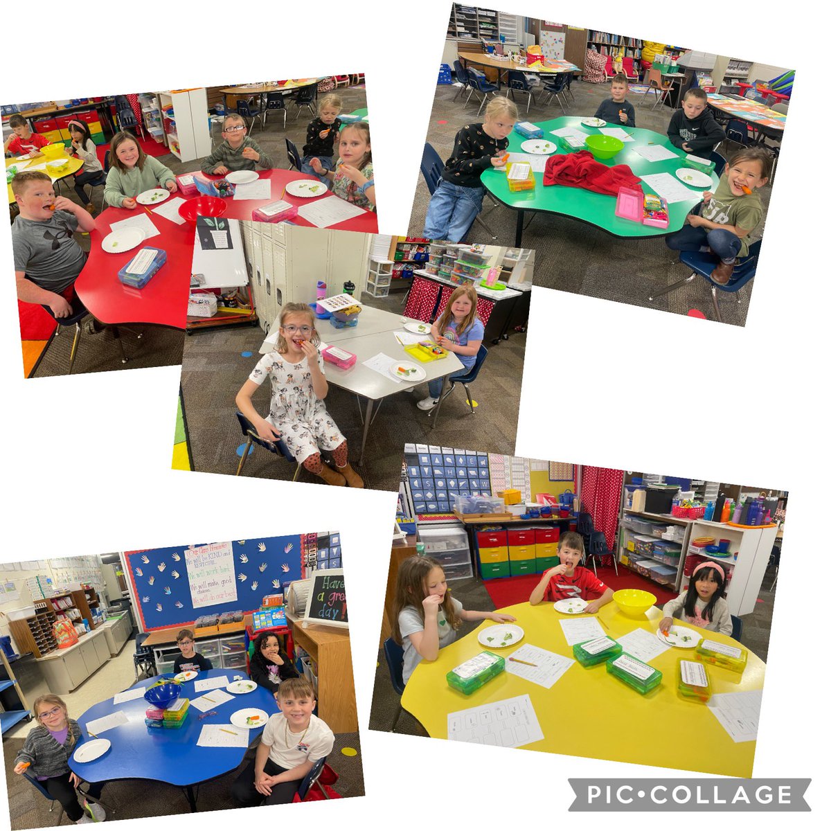 Ending our plant unit with a taste test of the parts of a plant.