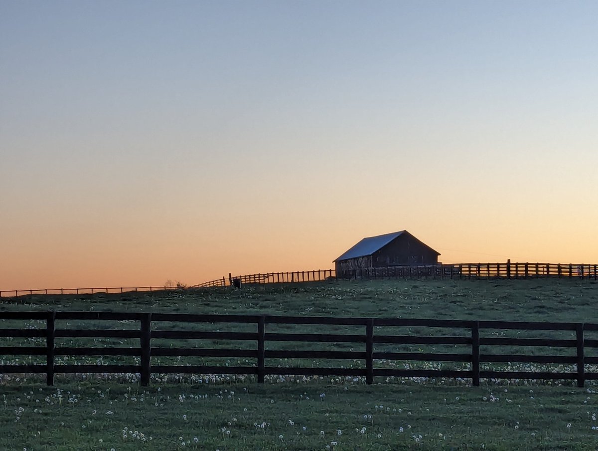 Sun coming up at Serendipity Springs Farm. #howluckyarewe