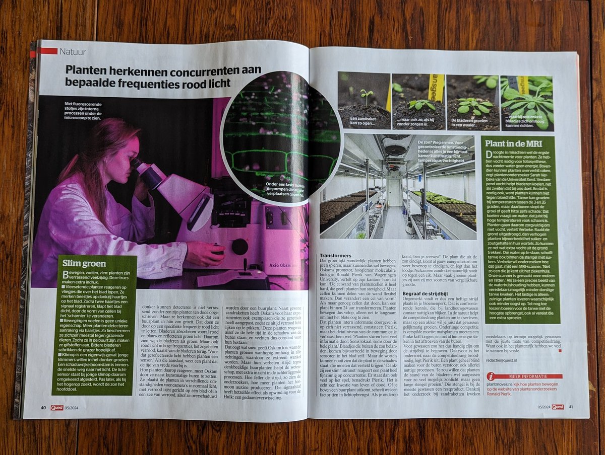 lisaoskam's tweet photo. Zin om wat te lezen in de zon dit weekend? In de Quest staat een artikel over ons onderzoek aan schaduwontwijking! @ronaldpierik @UUBeta @UniUtrecht @QuestNL @WUR #outreach #wetenschapscommunicatie #plantonderzoek https://t.co/C7FZ6ai0CV