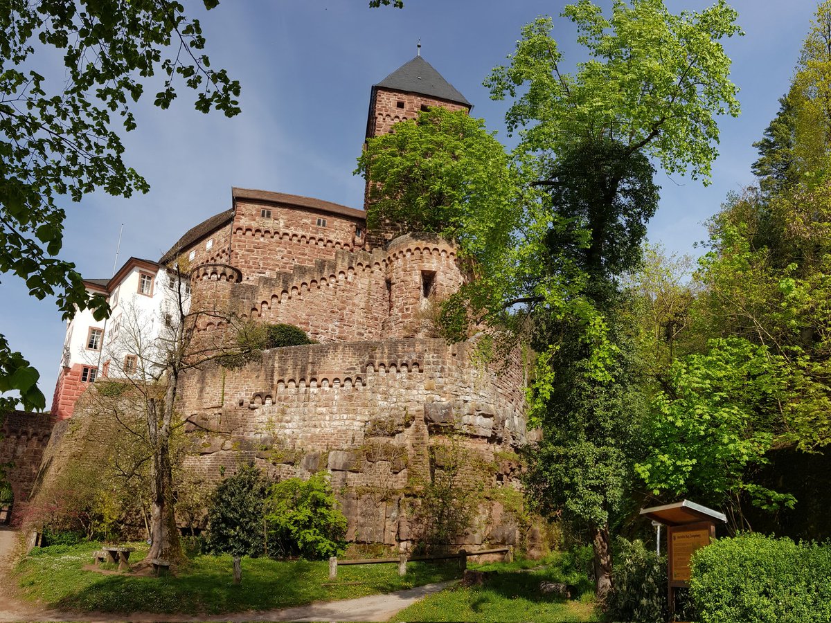 Schloss Zwingenberg 🏰🌤🌳