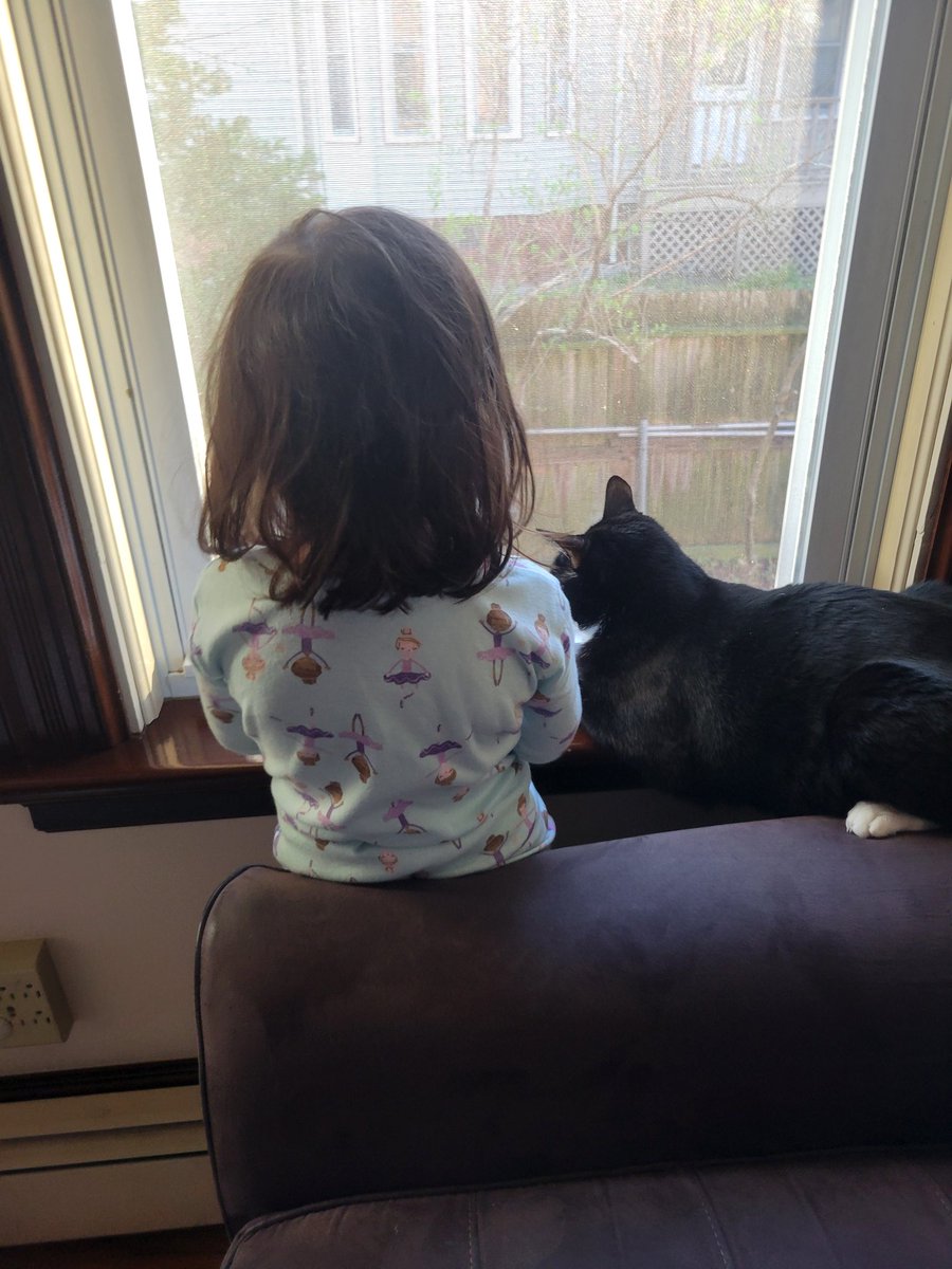 Layla is having a conversation with Mowgli about squirrels