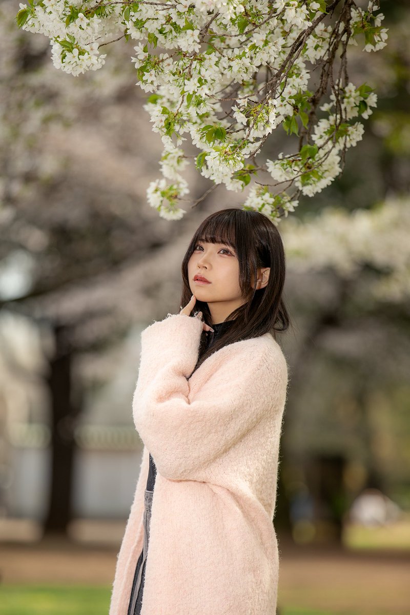 あおはるちゃん 🌸 @03_aoharuchan #portrait #ポートレート #桜