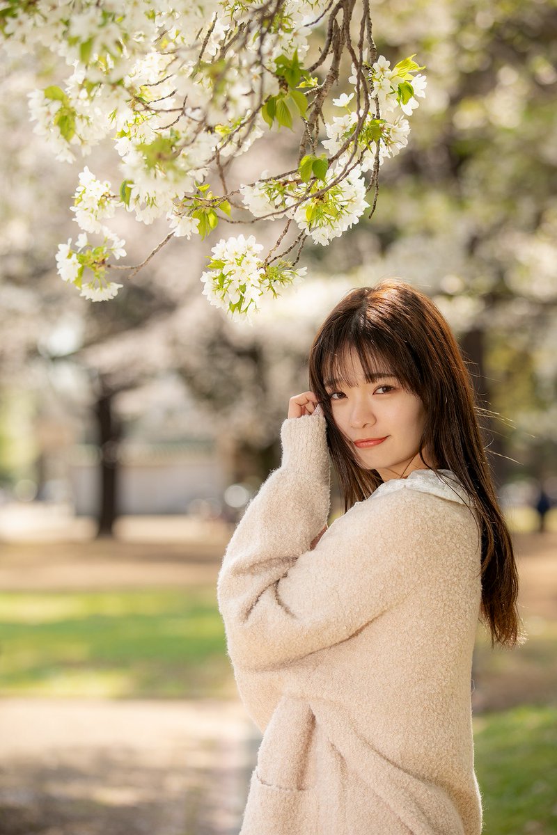 雪乃のあさん 🌸 @noa_coco_04 #portrait #ポートレート #桜