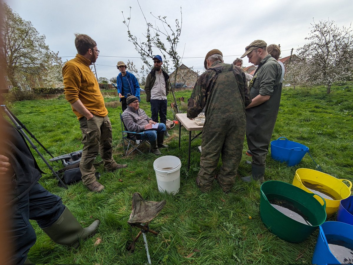 Mission accomplished Stonking numbers of Crucian Carp sampled across three beautiful Norfolk ponds. Great to join such a dedicated and expert group of fish conservationists. Lots of lovely material for my new book. Super to meet @JackPerksPhoto as well