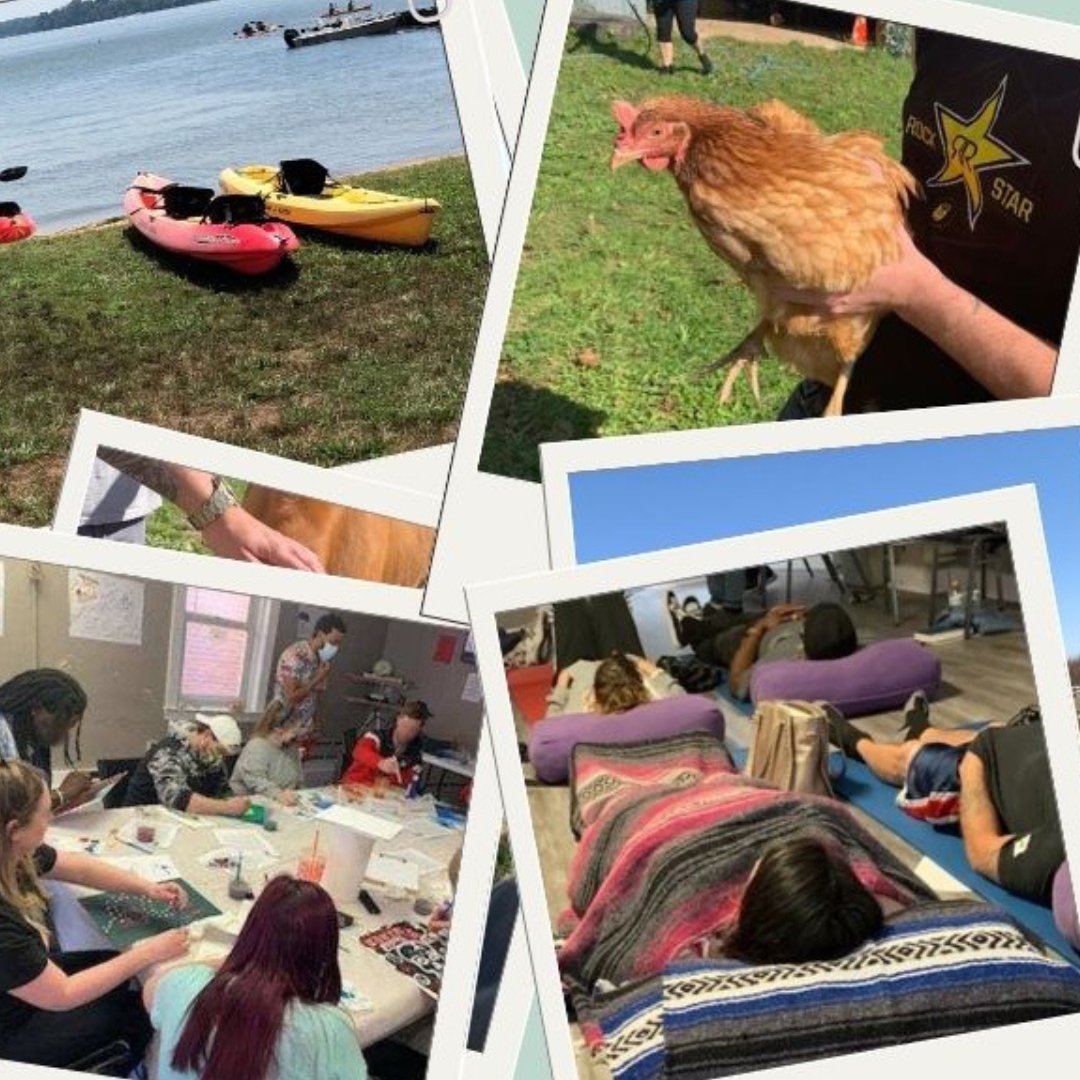 MDRecovery's tweet photo. Maryland Recovery offers holistic treatments including animal therapy, art therapy, a Sailing for Serenity Program, and acupuncture to support sobriety and address substance use in unique, therapeutic ways. https://t.co/73YvU2PntC