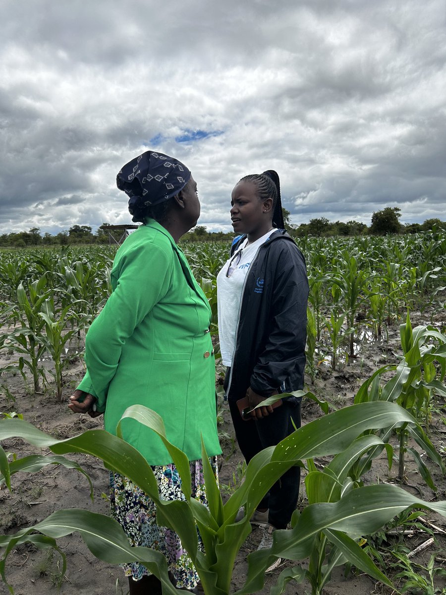 Celebrating a milestone achievement. Food self-sufficiency hits 45% for the first time in 15 years in #Namibia. Read more: namibian.com.na/food-self-suff…