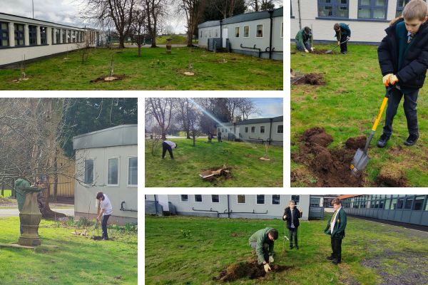 Pupils from years 7, 8 & 9 at Ysgol Bryn Hyfryd and Ysgol Dinas Brân recently rolled up their sleeves and got stuck into some gardening to help their schools achieve some of their #ecofriendly goals ♻️ Find out more here 👇 bit.ly/43Y0M6r