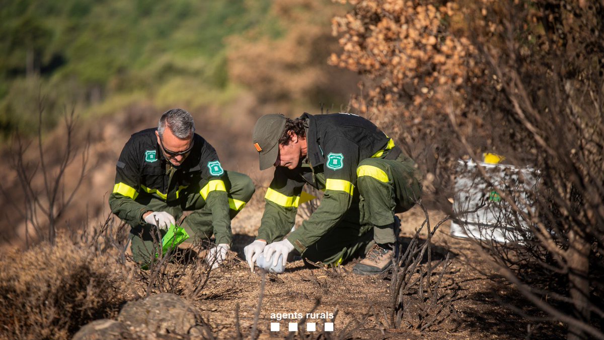 ⚠️🔥 Cada acció compta per a prevenir els incendis forestals #IIFF. A menys de 500 metres de terreny forestal o agrícola: ❌ No facis foc. 🧨 No llancis pirotècnia. 🚭 No llancis burilles. ℹ️ 9 de cada 10 incendis s'originen per causes humanes. Sigues responsable!